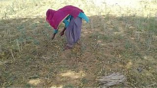 देसी इंडियन बॉयफ्रेंड ने खेत में काम कर रही अपनी जवान गर्लफ्रेंड को चोदा