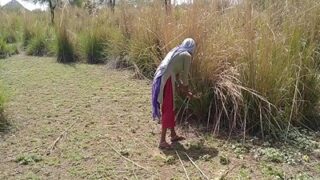 Tonton Video Mesum Desi Di Ladang, Si Bego Dan Kuli Kampung Lagi Ngewe Liar Di Luar.