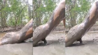 Cowok Mesum Kesepian Ngentot Di Lumpur Di Video Xxx
